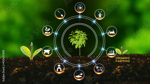 Organic Farming Concept Green environment with Center and spoke Concept  Plant on center and rotating Icons