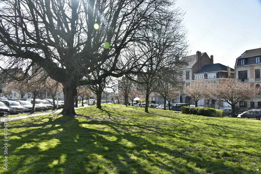 Les arbres du square Riga sous un ciel de printemps ,à Schaerbeek
Les arbres du square Riga sous un ciel de printemps ,à Schaerbeek