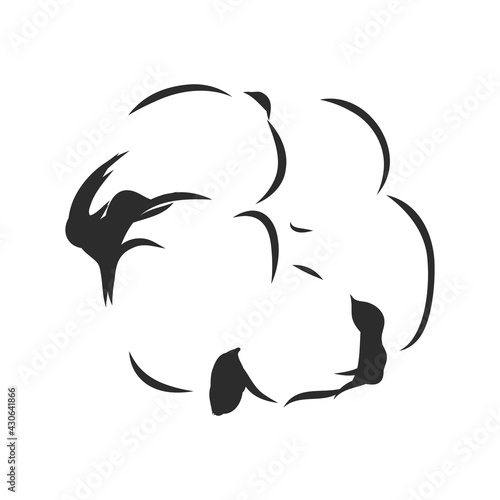 Hand drawn cotton plant in vintage style.