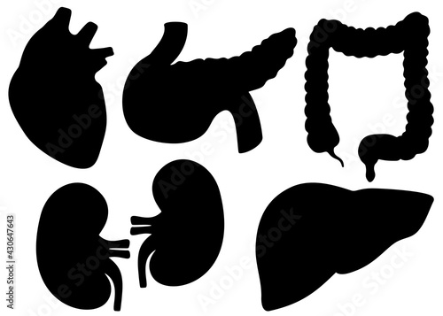 Human organs heart, kidney, stomach, pancreas, intestines in a set. Vector image.