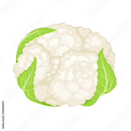 Cauliflower cartoon flat icon. Vector illustration of  fresh healthy vegetable.