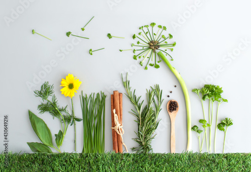 Summer herb salad garden co...