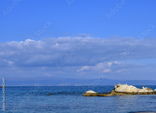 dreamlife watersea