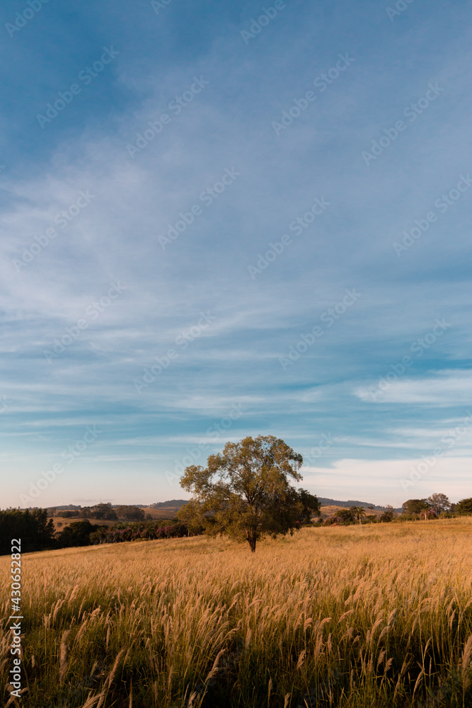 Minas Gerais
