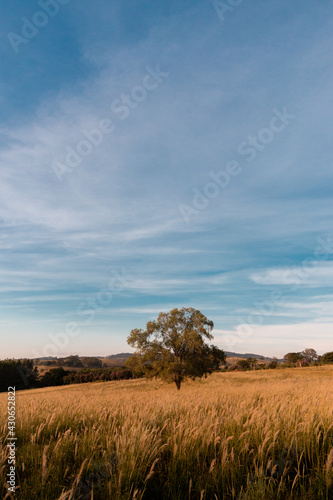 Minas Gerais 