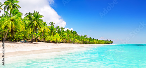 Coconut Palm trees on white sandy beach in Caribbean sea, Saona island.