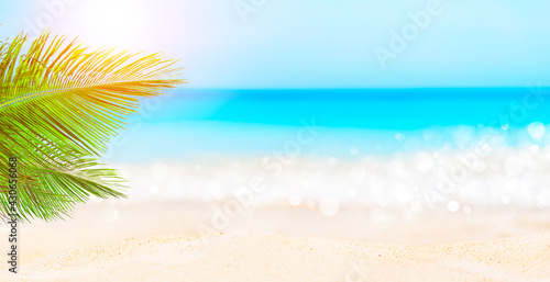 Fototapeta Naklejka Na Ścianę i Meble -  Panorama of summer beach and blurred blue sky with leaves of coconut palm tree.