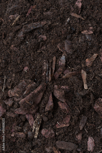 Background, texture of soil for orchids. Top view of the fertile grung. Land with elements of wood and tree bark © dewessa