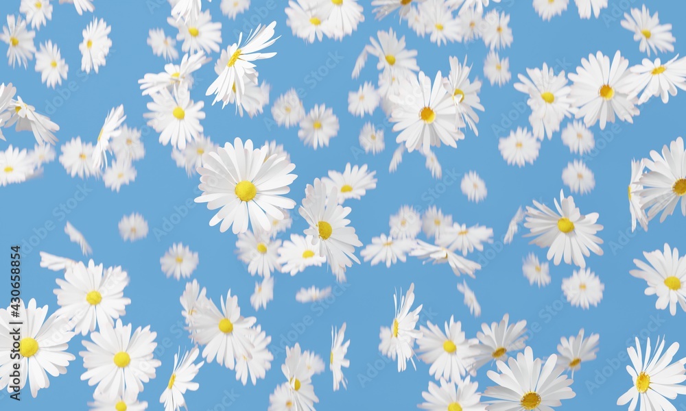 White flowers fall on blue background. 3D rendering. White flowers fall on blue background. 3D rendering.