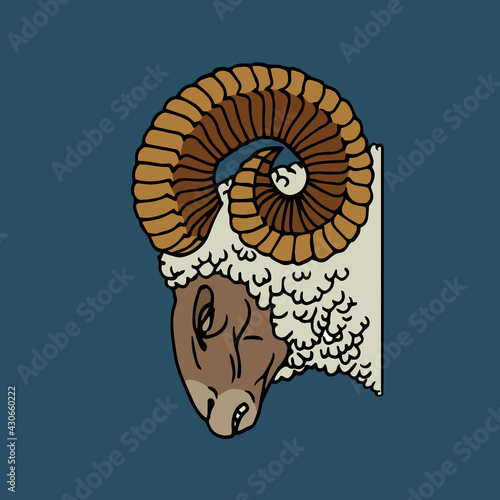 angry ram head with horns and white wool, farm animal, hunting trophy, color vector illustration with black contour lines on a blue background in cartoon and hand drawn style