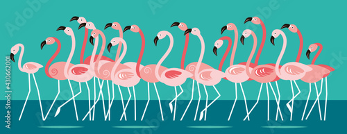 Pink beautiful Flamingo, flock of birds Cartoon vector illustration, horizontal banner.