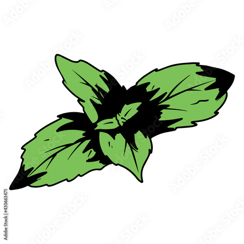 Mint. Herb for tea. Nice smell. Mint adds aroma and flavor to a drink or cocktail. Cartoon style.