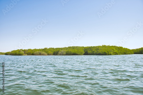 Vue d'un îlot sur le fleuve Sine Saloum photo