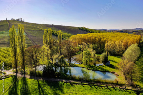 vineyard in region