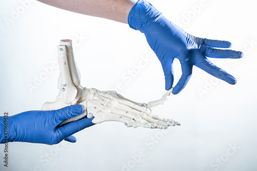 physioterapist holding foot skeleton with wite background