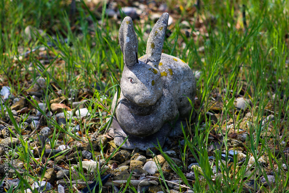 Obraz premium The Stone Rabbit