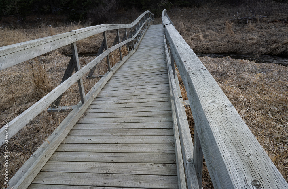 Twisted old wooden bridge crossing an area of dead grass and leading into a dark forest.  In muted colors.
