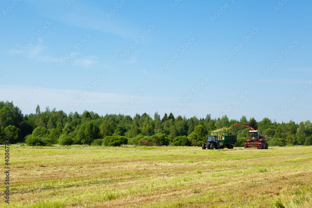 Naklejka premium Hay harvesting in the field.