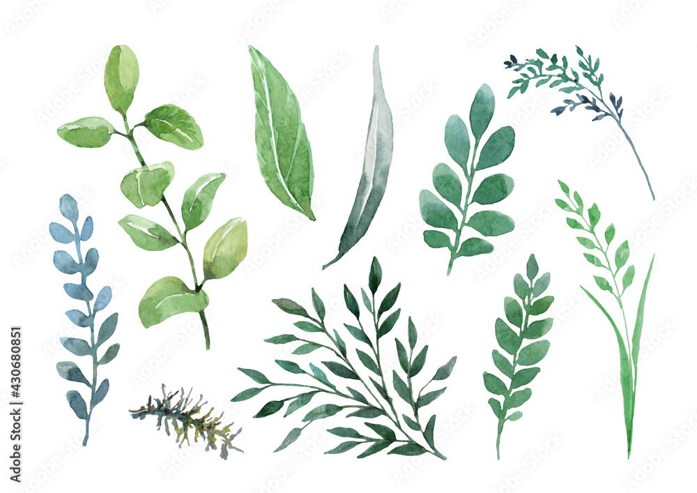 Fototapeta premium Field herbs, green leaves and branches of ornamental plants in a set of isolated elements on a white background. Hand drawn watercolor for design of wedding invitations, cards, print, banner, decor.