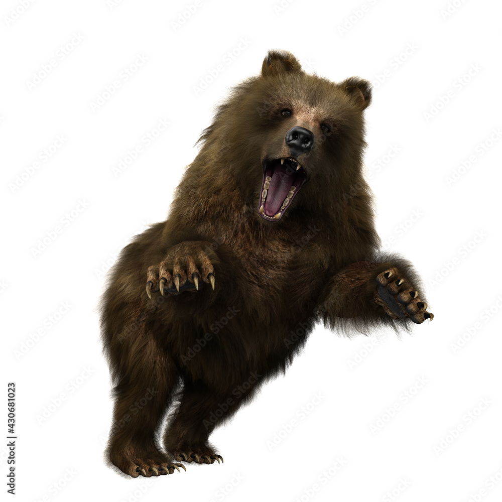 3D illustration of a brown bear in attacking pose isolated on white. 3D illustration of a brown bear in attacking pose isolated on white.