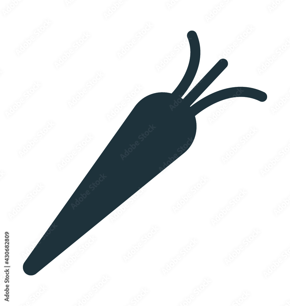 Obraz premium Carrot 