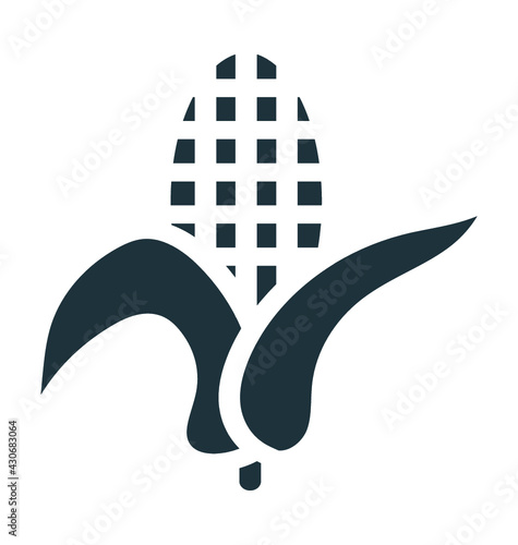 Maize 