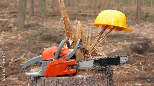 Wallpaper Mural The chainsaw and helmet are lying on a tree stump. Logging crisis. Dismissal of staff. Camera movement. Torontodigital.ca