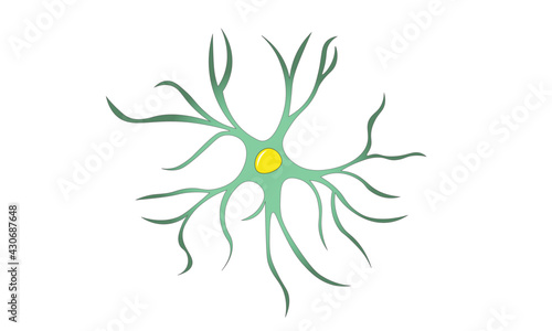 Astrocyte [brain]
