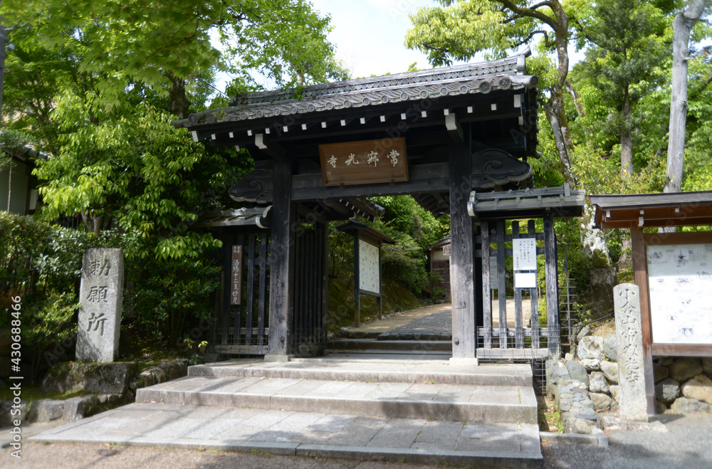 新緑の常寂光寺　山門　京都市嵯峨