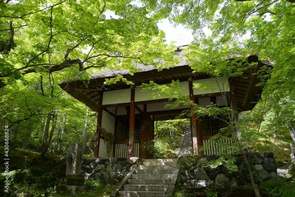 新緑の常寂光寺 仁王門 京都市嵯峨 新緑の常寂光寺 仁王門 京都市嵯峨