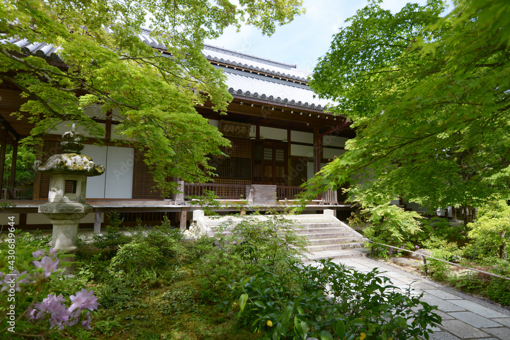 新緑の常寂光寺 本堂 京都市嵯峨 新緑の常寂光寺 本堂 京都市嵯峨