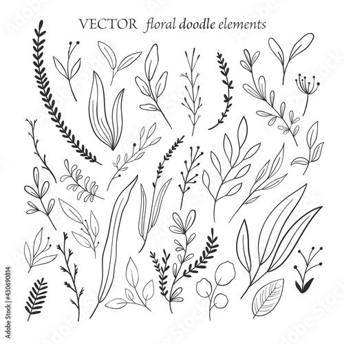Set of vector hand drawn floral elements, doodle art
