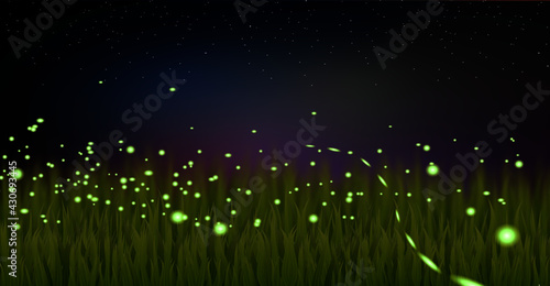 Vector illustration of glowing fireflies, lightning bugs isolated on dark background.	