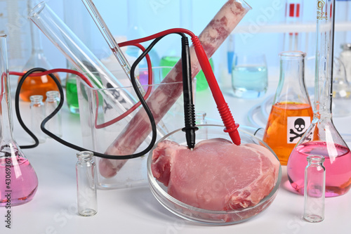Lab test of artificial grown meat with electrodes. Meat grown up in laboratory conditions in a petri dish. Electric analysis of GMO meat sample. Muscle tissue cultured from animal cells. Fake pork. photo