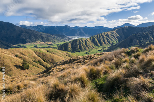 tussock covered hills near Havelock town in Marlborough region, South Island, New Zealand photo