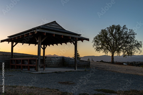 pergola and tree