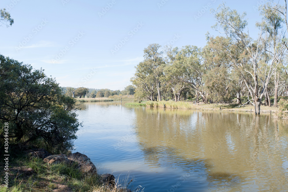 Reflections on the water of a river from trees and grass on a sunny day