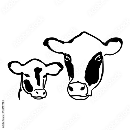 Cow and calf head profile with spots