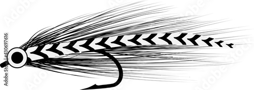 fly baitfish sketch - fishing lure