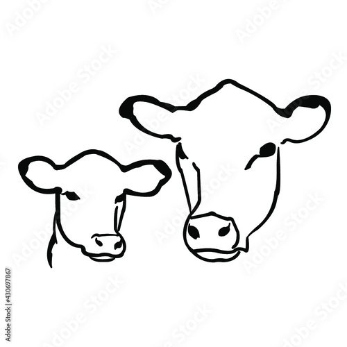 Cow and calf head profile illustration