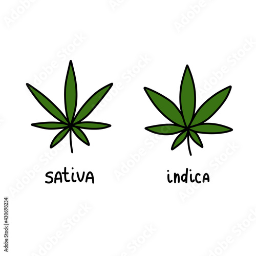sativa and indica doodle icon, vector color illustration