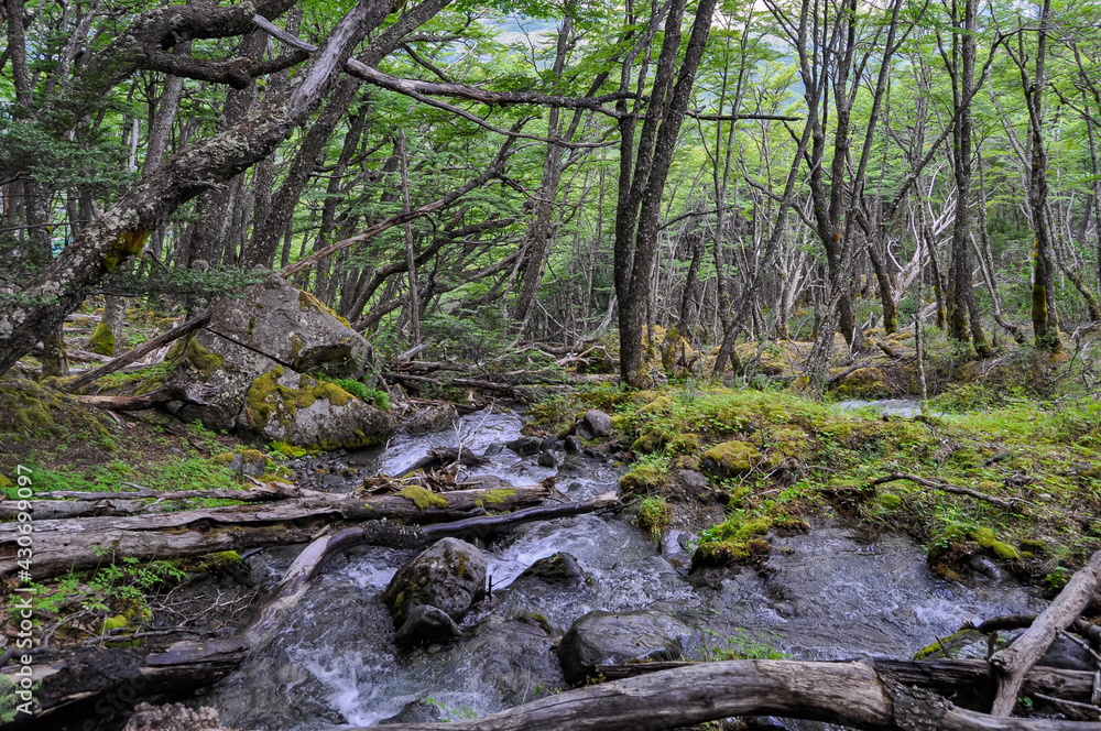 waterfall in the forest by day, grass, big rocks and trees waterfall in the forest by day, grass, big rocks and trees