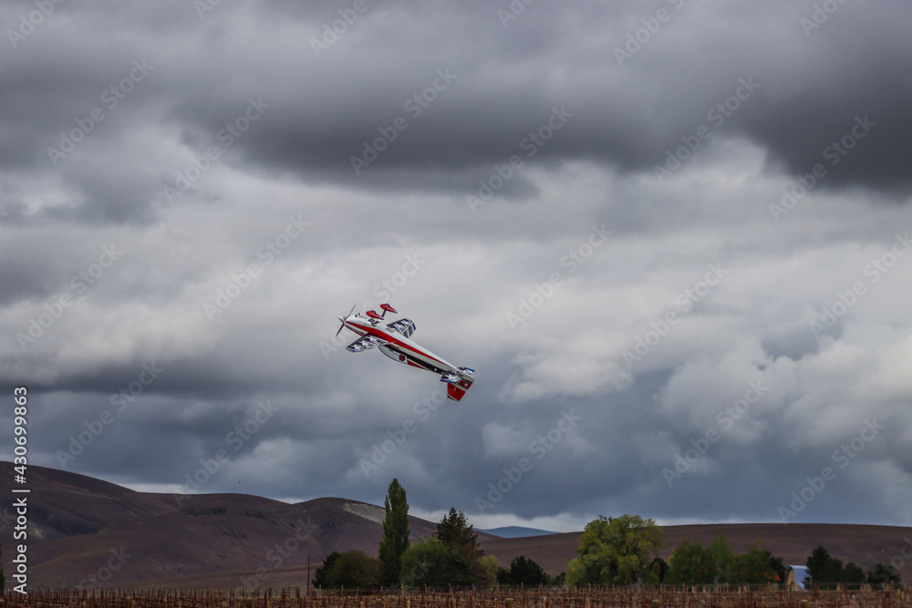 Fototapeta premium kite in the sky