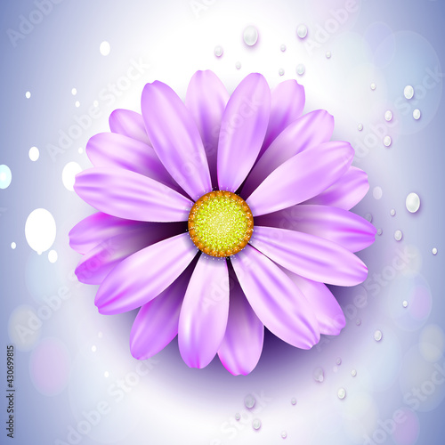 Flores