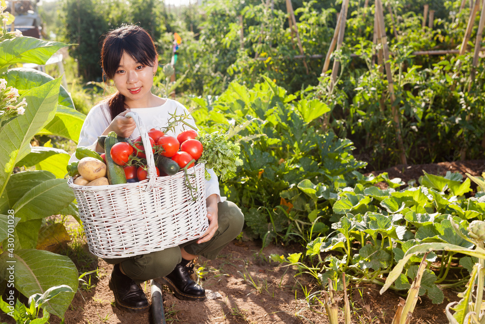 Fototapeta premium Cheerful Asian girl sitting among garden beds of her plantation and holding basket of harvest