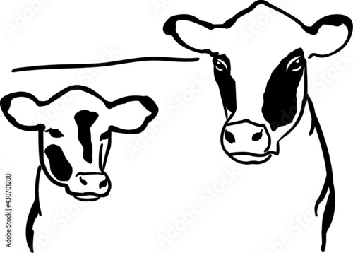 Cow and calf vector illustration with spots