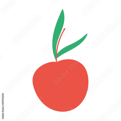 apple fresh fruit