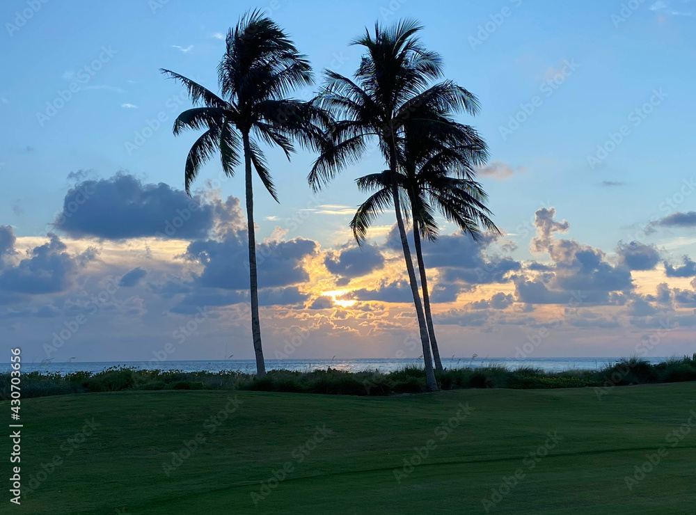 Captiva Sunset thru Palms by H.Owen