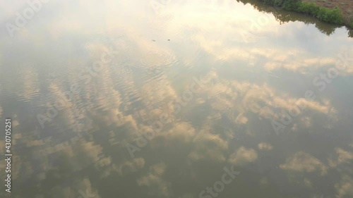 goa divar island drone passing from coconut trees vacation Mercure Goa Devaaya  reflection of morning sky and clouds in still water river lake by drone India goa photo