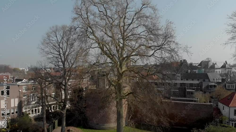 Park with large barren tree branches slow ascending aerial view with historic Bourgonje stronghold tower and medieval city wall in Zutphen, The Netherlands, against a blue sky Park with large barren tree branches slow ascending aerial view with historic Bourgonje stronghold tower and medieval city wall in Zutphen, The Netherlands, against a blue sky